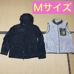 Item thumbnail for item 7d5c1f33-44f1-45be-8a3f-f466054e2728