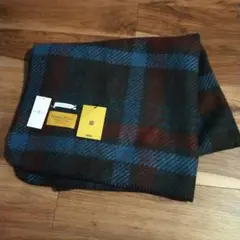 Item thumbnail for item 1b55f608-1a93-48a1-88f3-8eebe47cd0c2