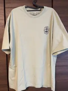 patagonia XL ライトグリーン Tシャツ