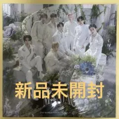 Stray Kids MANIAC パンフレット　新品未開封