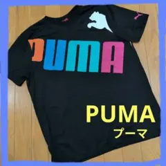 ✨PUMA✨ビッグロゴTシャツ ブラック