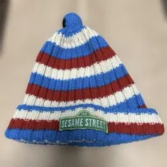 【匿名配送】セサミストリート　クッキーモンスター　ニット帽