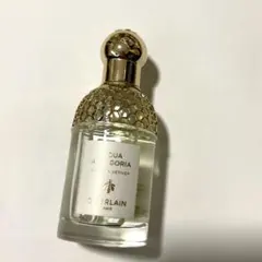 GUERLAIN ネイビー Flower Vase - メルカリ