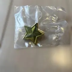 SPY×FAMILY アイコンピンバッジ 星（ステラ）