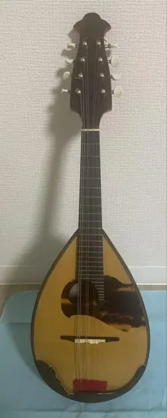 フラットマンドリン オスカーシュミット OM40 輸入品 専用ケース付属