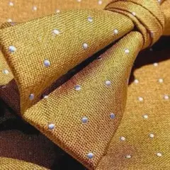 ☆蝶ネクタイ チーフ ドット柄 2点セット メンズ 2次会 前撮り dNa