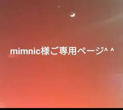 mimnic様ご専用ページでございます(*^^*)