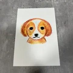 手描きイラスト ポストカード 原画 犬