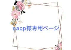 naop様専用ページ