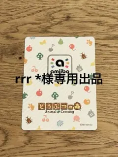 rrr *様専用出品