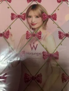 新品未開封 Wonjungyo モモ クリアファイル ウォンジョンヨ TWICE