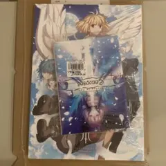 型月本 まとめ売り ｜るりひめ / 型月稿本 / CONCEPT2 / その他 2025年最新】型月稿本の人気アイテム - メルカリ