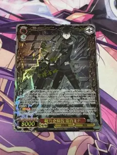 ヴァイスシュヴァルツ 怪獣8号　戦力全解放 亜白ミナSEC