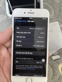 Apple iPhone 7 ゴールド 15.8
