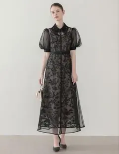 Leja ブラックフラワー刺繍シースルードレス