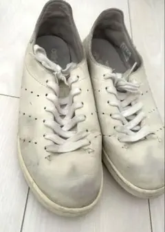 Item thumbnail for item 786dc9e6-86c0-450a-ac6d-1d2bea1aa17c