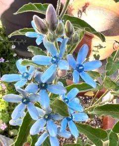 ゆうじん様 リクエスト 2点 まとめ商品