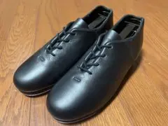 Item thumbnail for item 9d8c7642-7e16-42eb-8afa-56d9e19a6850