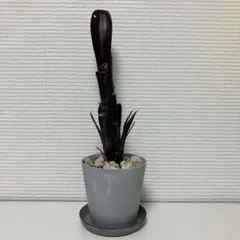 빌베르기아 다스 베이더 (스톡 포함) 30cm