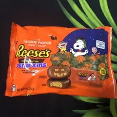 季節限定：reese'sリーセススヌーピーコラボハロウィン限定アメリカ菓子④