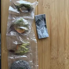 モンスターハンター　捕獲し隊4 レ・ダウ　モンハン