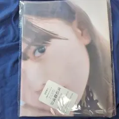 齋藤飛鳥?　元乃木坂46　両面抱き枕カバー90cm ×45cm　新品未使用