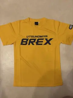 Item thumbnail for item 4e4fd3a1-0caa-41e7-90bc-9aa21df580b3