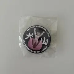 新品未開封　桃太郎 缶バッジ