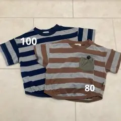 ストライプ Tシャツ F.O.KIDS 100㎝ 80㎝