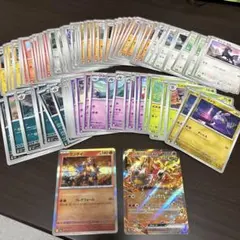 珊瑚買取ノーマルも買取実施中プロフに確認様専用 - メルカリ