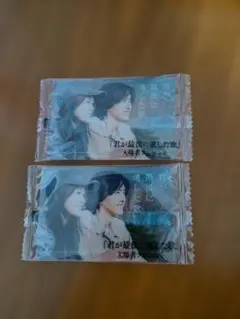 君が最後に遺した歌 2枚セット