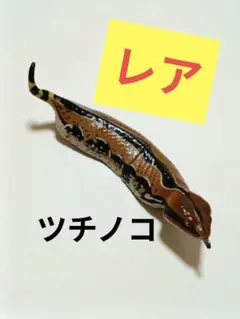 【入手困難‼️バラ売り可】チョコエッグ・シークレット「ツチノコ」3種セット 2026年最新】チョコエッグ シークレット ツチノコの人気アイテム