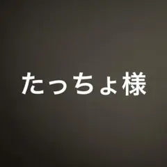 たっちょ様 AR22枚