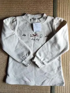 Item thumbnail for item 00cfd085-688b-4da2-ba45-25c7db91902d