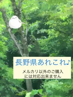 2025年最新】バスガイド資料の人気アイテム - メルカリ