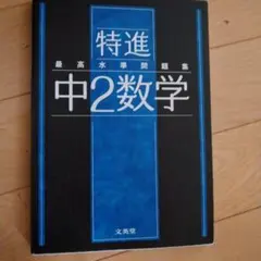 特進 中2数学 最高水準問題集