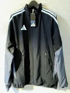 Item thumbnail for item 011b217a-db00-4f0a-a4ea-4186eced3e9c