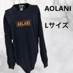 さy251 AOLANI 長袖Ｔシャツ 春秋　綿100％ 黒 シンプル L