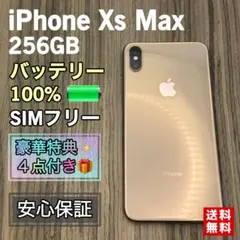 iPhone XSmax 512GB ブラック SIMフリー 管理番号10526 - メルカリ