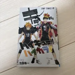 ハイキュー!! 公式カラーイラスト集
