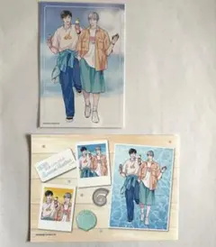 大島かもめ☆イラストカード☆コントラディクト