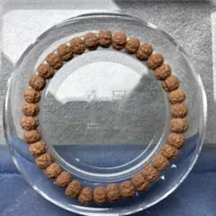 ルドラクシャ ブレスレット
