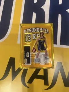 Item thumbnail for item 35ebdc69-6701-4673-8623-5e753fb01629