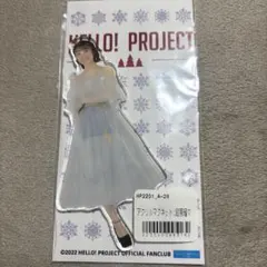 段原瑠々 アクリル マグネット