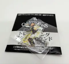 Mint様 リクエスト 2点 まとめ商品