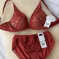 Tuche Sweet Make Bra セットアップ アップルベルベット　新品のサムネイル