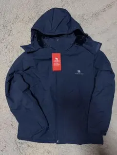 Item thumbnail for item 92cb55ac-d8fa-4e68-8770-31186189f0b0