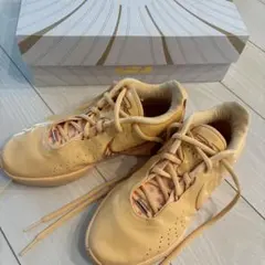 Item thumbnail for item 963244cd-c299-42b7-9385-936e453a7c96