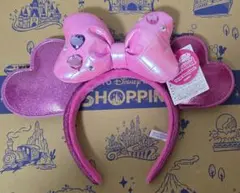 パルパルーザ　ミニーちゃん　カチューシャ ミニパル ミニーのファンダーランド