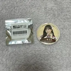 乃木坂46 真夏の全国ツアー2026 個別ランダム缶バッジB 一ノ瀬美空